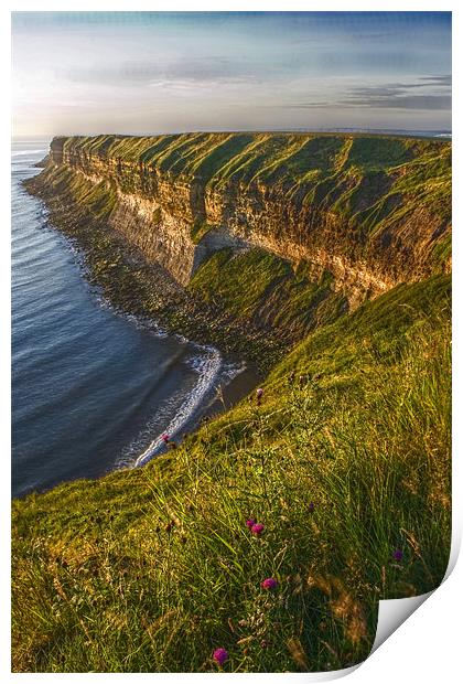 Filey cliffs at dawn Print by Steven Shea