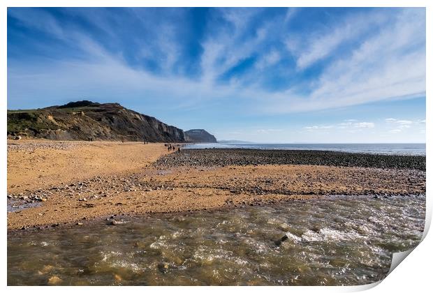 River Char at Charmouth 2 Print by Susie Peek