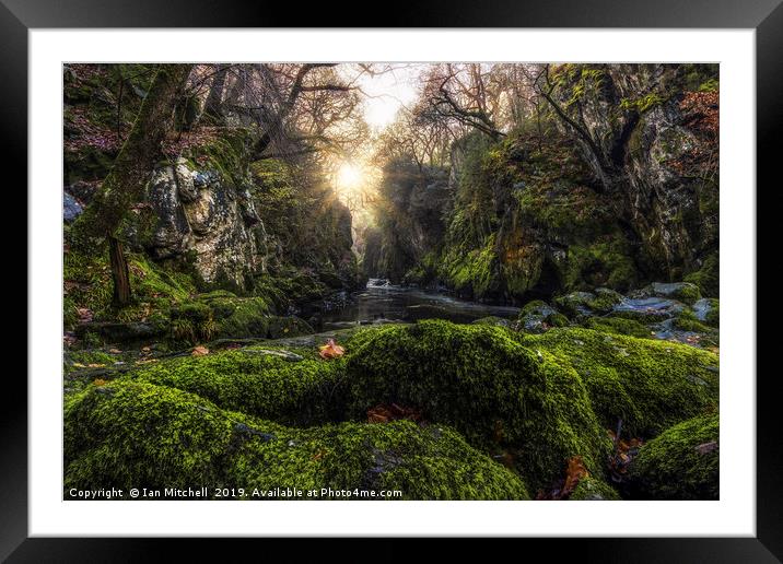 Fairy Glen Framed Mounted Print by Ian Mitchell
