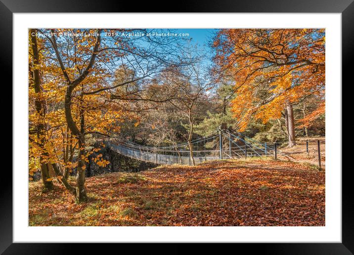 Autumn Woodland at Wynch Bridge, Teesdale Framed Mounted Print by Richard Laidler