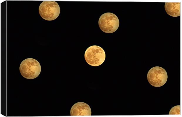 Multimoon Canvas Print by Donna Collett