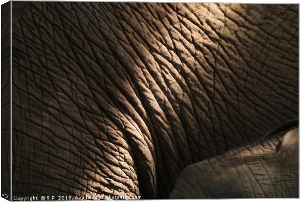 Getting close to an elephant - detail of elephant  Canvas Print by Lensw0rld 