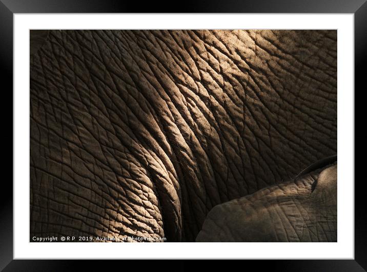 Getting close to an elephant - detail of elephant  Framed Mounted Print by Lensw0rld 