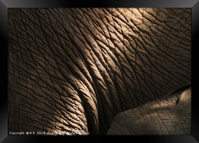 Getting close to an elephant - detail of elephant  Framed Print by Lensw0rld 