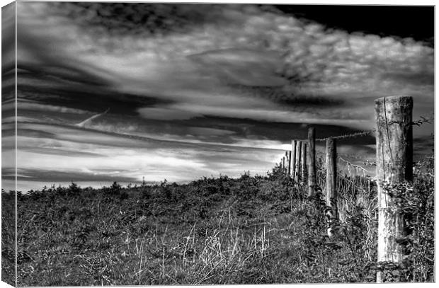 Fence Post Canvas Print by Dave Hayward