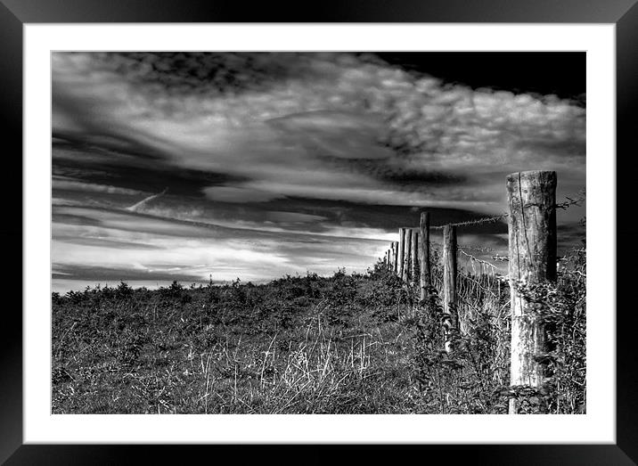 Fence Post Framed Mounted Print by Dave Hayward