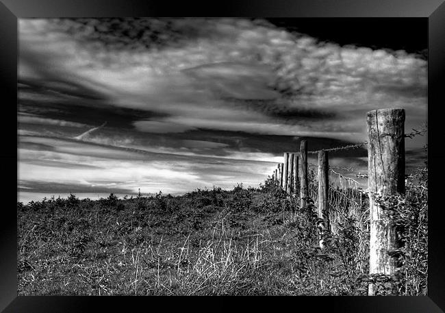 Fence Post Framed Print by Dave Hayward
