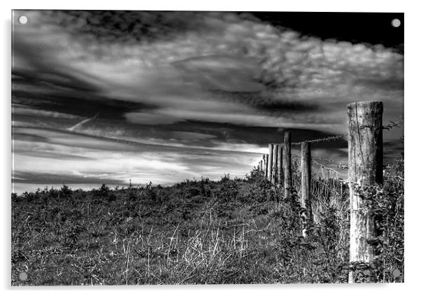 Fence Post Acrylic by Dave Hayward