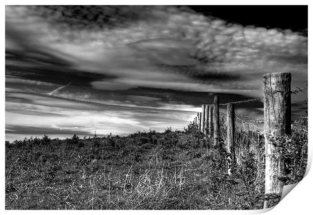 Fence Post Print by Dave Hayward