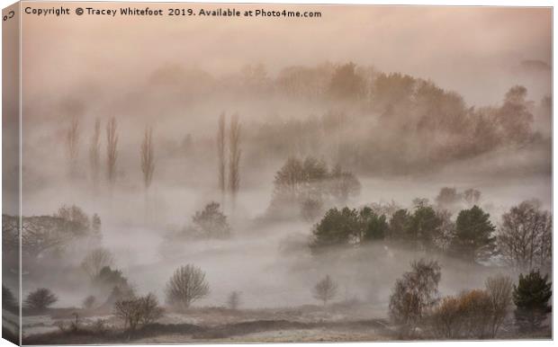 Lost in the Mist  Canvas Print by Tracey Whitefoot