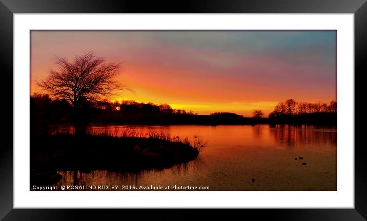 "Cloudy sunset at the park lake" Framed Mounted Print by ROS RIDLEY