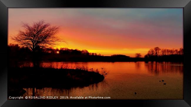 "Cloudy sunset at the park lake" Framed Print by ROS RIDLEY