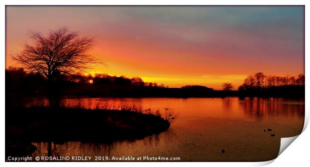 "Cloudy sunset at the park lake" Print by ROS RIDLEY