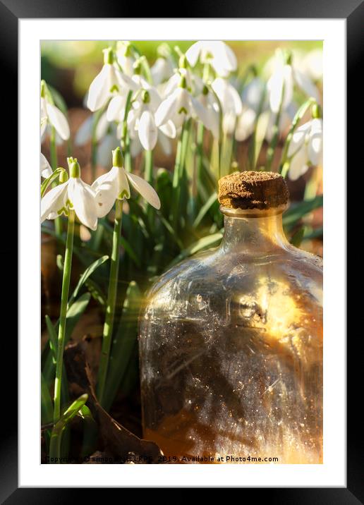 Snowdrop flowers and old glass jar with sunlight Framed Mounted Print by Simon Bratt LRPS