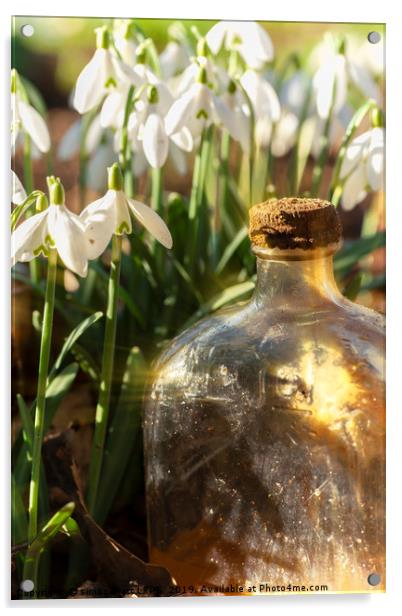 Snowdrop flowers and old glass jar with sunlight Acrylic by Simon Bratt LRPS
