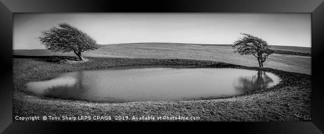 SUSSEX DOWNS DEWPOND Framed Print by Tony Sharp LRPS CPAGB