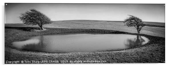 SUSSEX DOWNS DEWPOND Acrylic by Tony Sharp LRPS CPAGB
