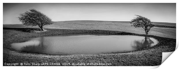 SUSSEX DOWNS DEWPOND Print by Tony Sharp LRPS CPAGB
