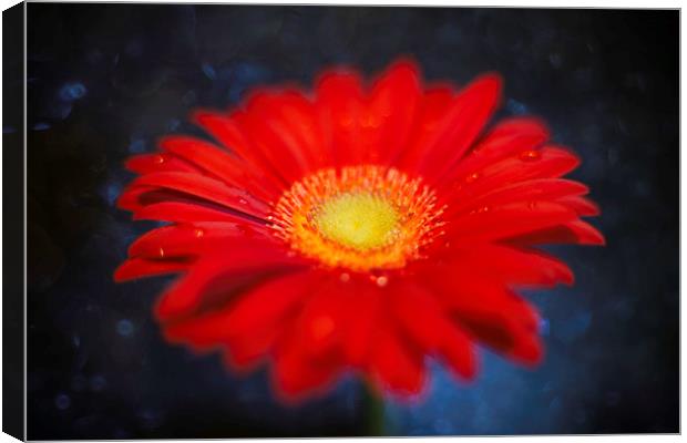 Red on Blue Daisy Experimental Abstract Canvas Print by Mike Evans