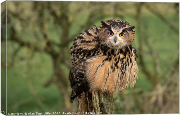 Eagle owl Canvas Print by Alan Tunnicliffe
