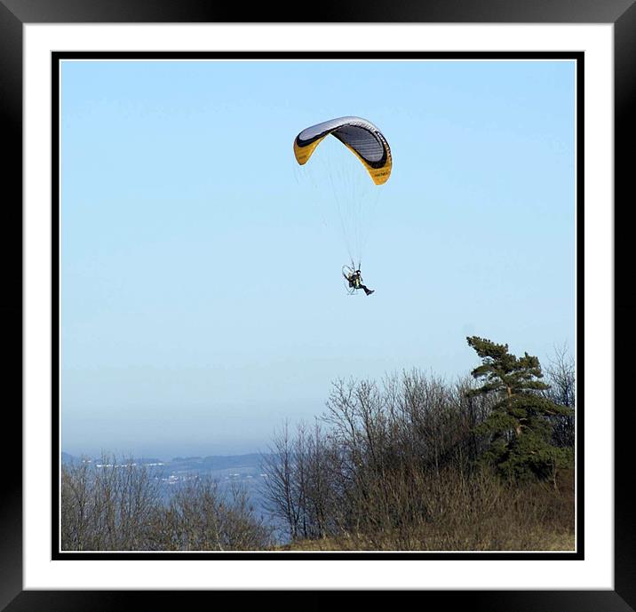 Micro gliding Framed Mounted Print by Sheryl Brown