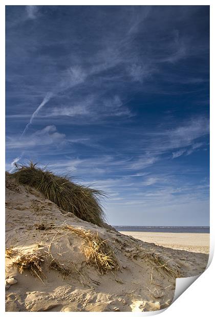 Norfolk Dunes Print by Paul Macro