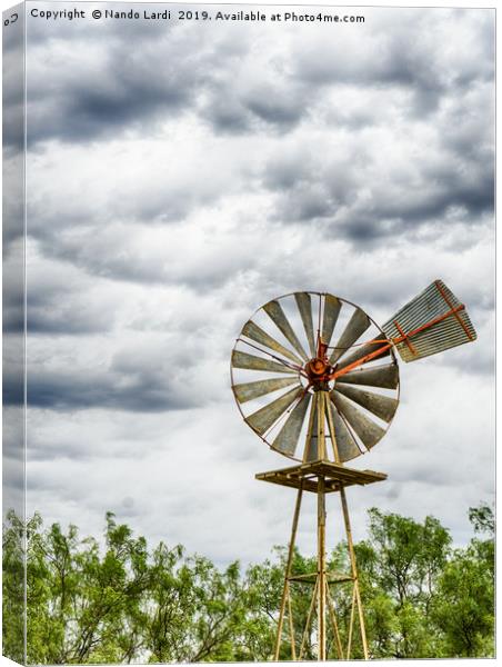 Four Strong Winds Canvas Print by DiFigiano Photography