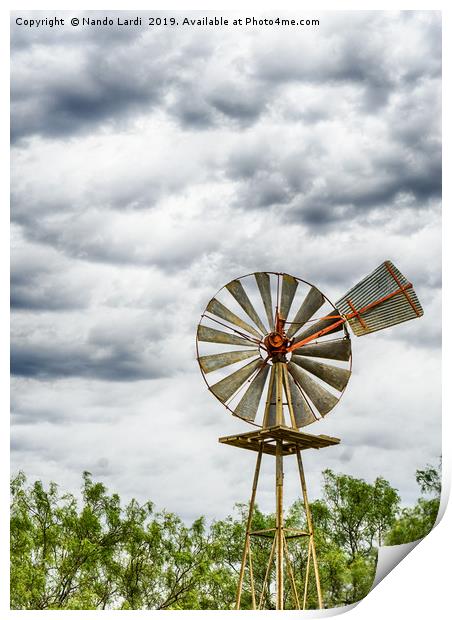 Four Strong Winds Print by DiFigiano Photography
