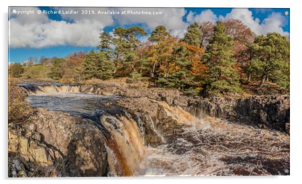 Low Force Waterfall, Teesdale from the Pennine Way Acrylic by Richard Laidler