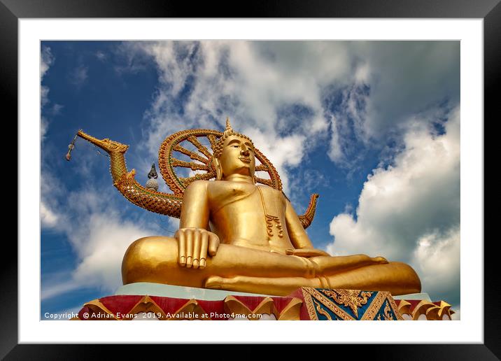 Big Buddha Thailand Framed Mounted Print by Adrian Evans