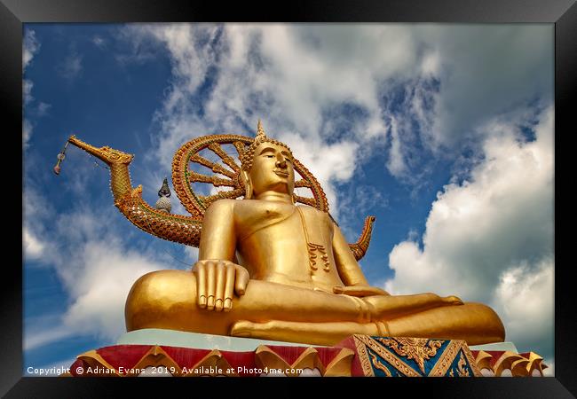 Big Buddha Thailand Framed Print by Adrian Evans