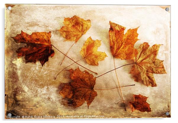 Fall Keepers Acrylic by Randi Grace Nilsberg