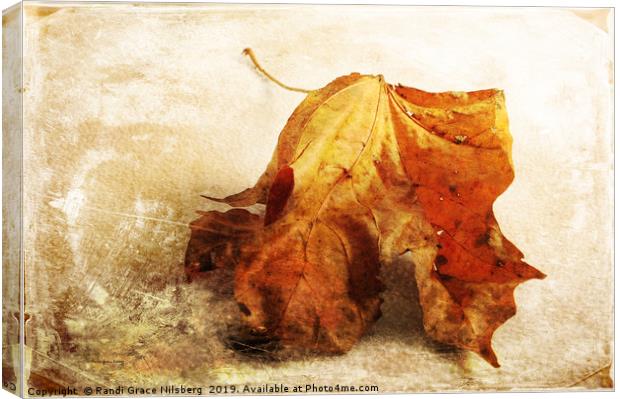 Autumn Texture Canvas Print by Randi Grace Nilsberg