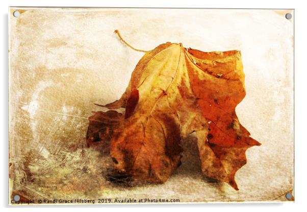 Autumn Texture Acrylic by Randi Grace Nilsberg
