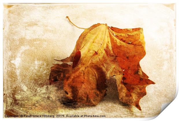 Autumn Texture Print by Randi Grace Nilsberg
