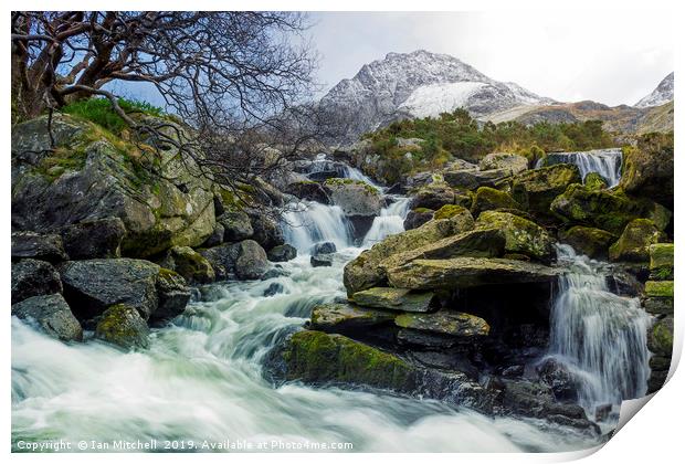 Snow Covered Tryfan Print by Ian Mitchell