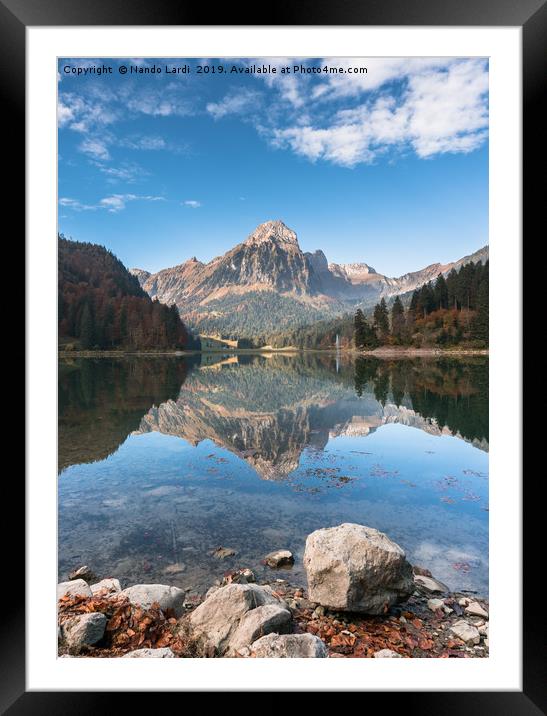 Brunnelistock Framed Mounted Print by DiFigiano Photography