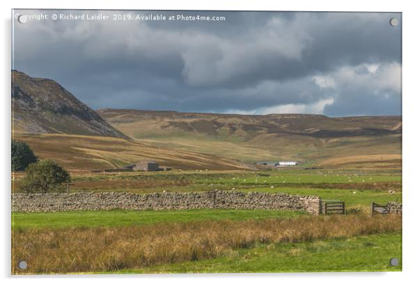 Cronkley Scar and Widdybank Fell, Upper Teesdale Acrylic by Richard Laidler