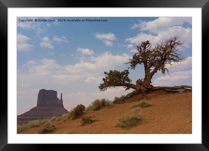 Monument Tree Framed Mounted Print by DiFigiano Photography