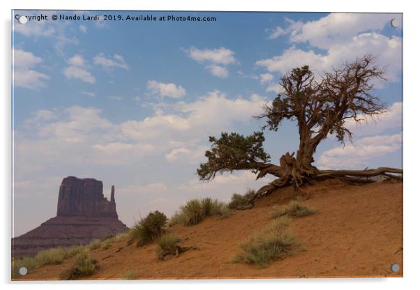 Monument Tree Acrylic by DiFigiano Photography