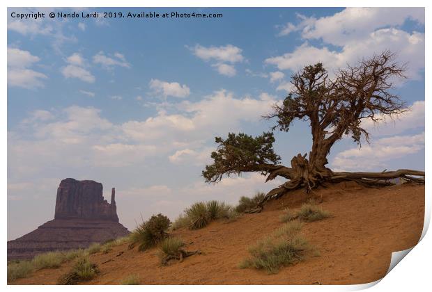 Monument Tree Print by DiFigiano Photography