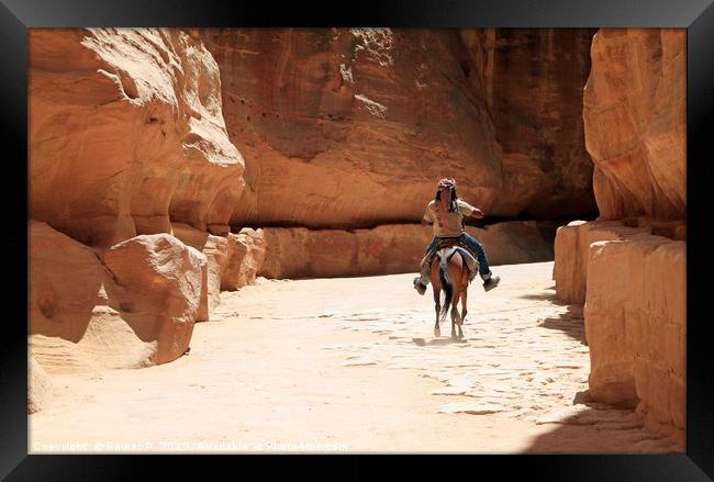 A Bedouin riding in the siq in Petra Framed Print by Lensw0rld 