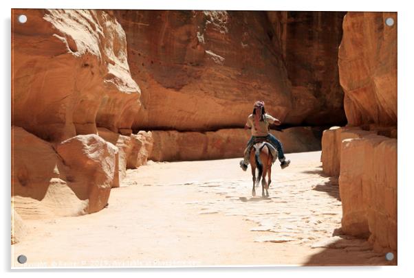 A Bedouin riding in the siq in Petra Acrylic by Lensw0rld 
