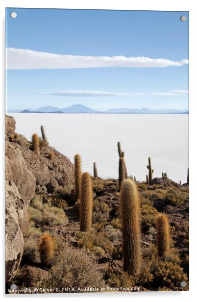 Isla Incahuasi in Uyuni, Bolivia Acrylic by Lensw0rld 