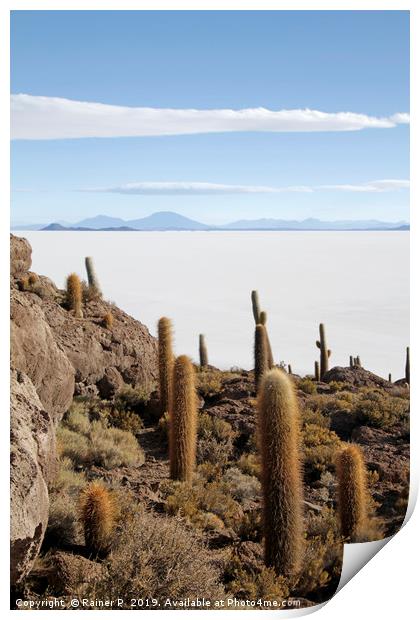 Isla Incahuasi in Uyuni, Bolivia Print by Lensw0rld 