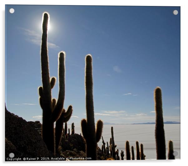 Isla Incahuasi in Uyuni, Bolivia Acrylic by Lensw0rld 