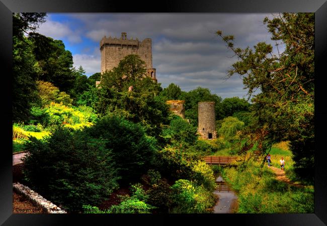 Blarney Castle Gardens Framed Print by Tom Gomez