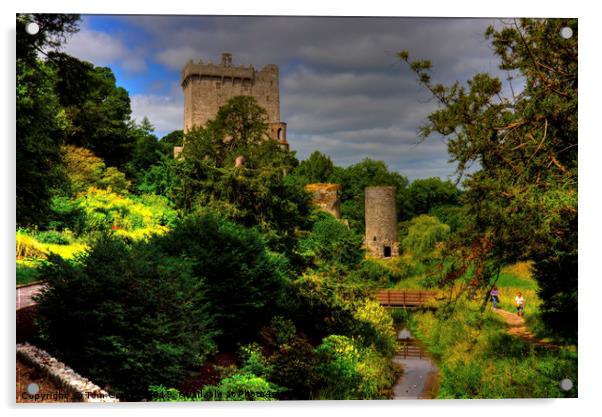 Blarney Castle Gardens Acrylic by Tom Gomez