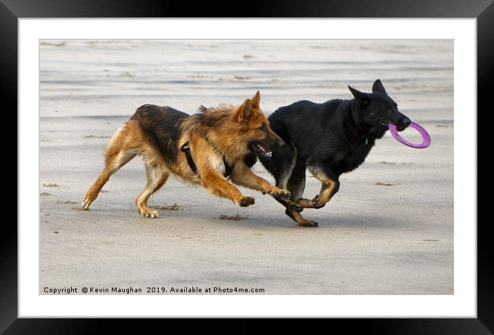 Dogs At Play Framed Mounted Print by Kevin Maughan