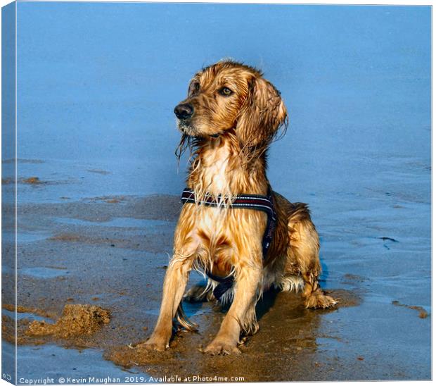 The Perfect Dog Pose Canvas Print by Kevin Maughan